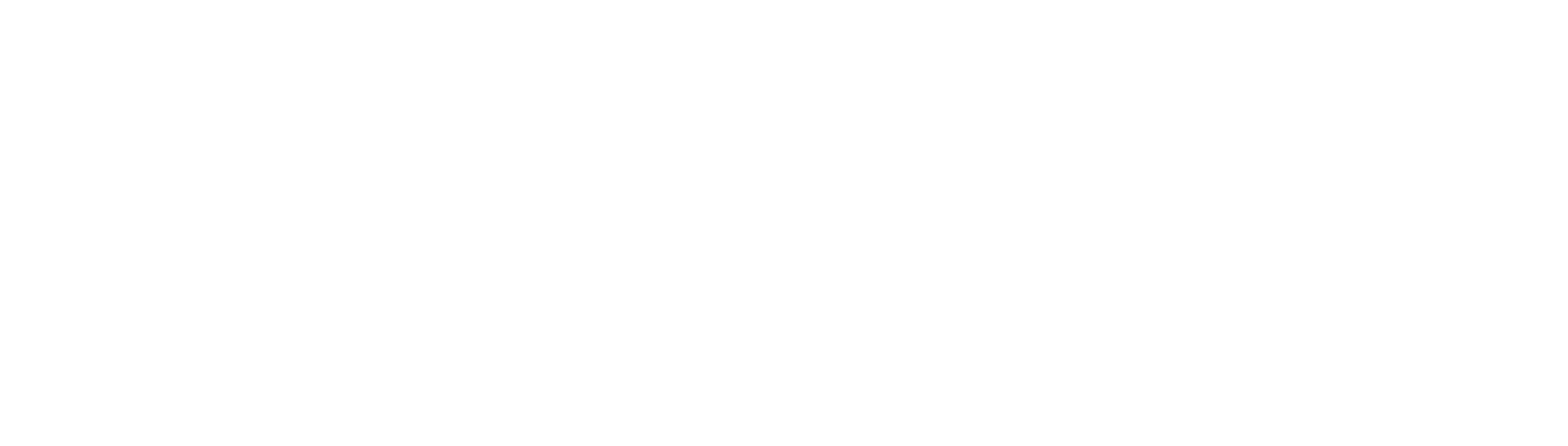 avaya_logo_white_500h