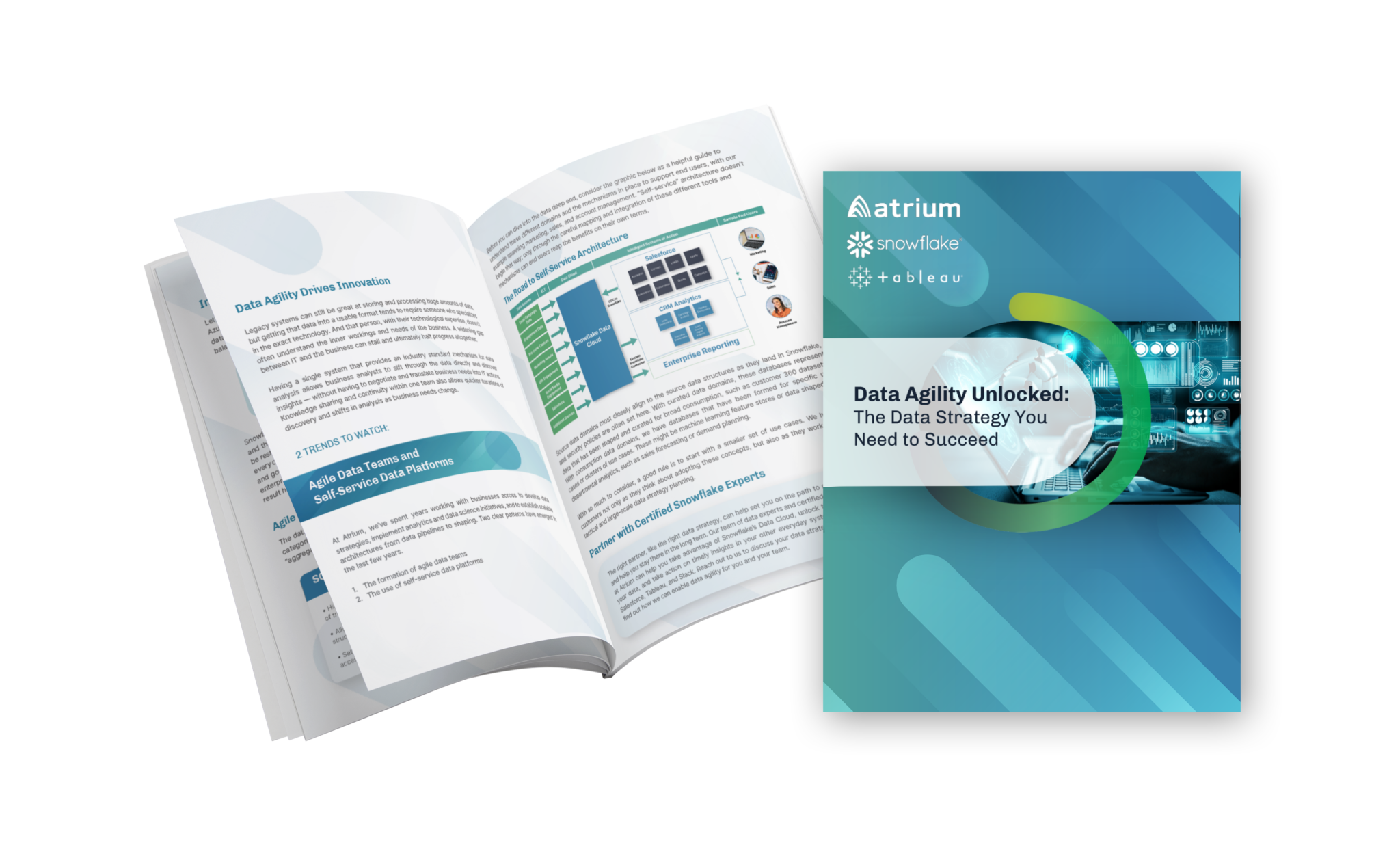 Whitepaper data agility unlocked the data strategy you need to