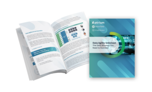 data agility whitepaper