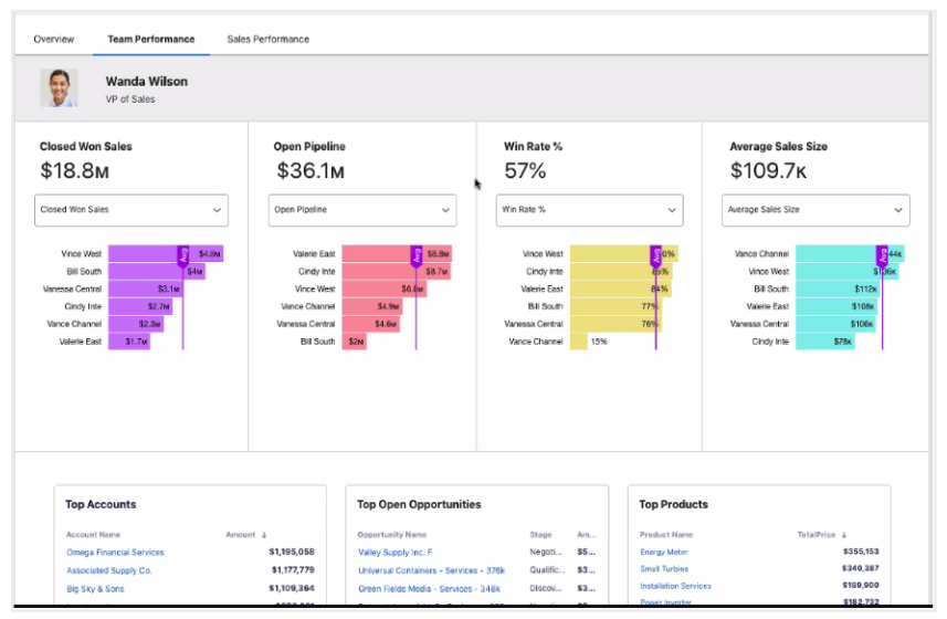 team performance page within the revenue insights dashboards