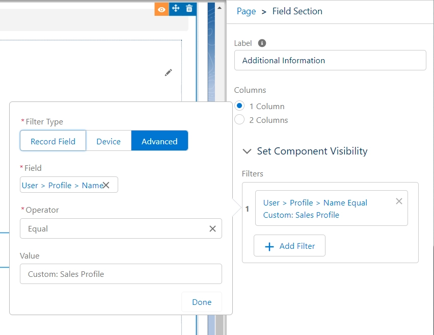 Advanced Visibility Filter for Field Section Component: Visible for Users with “Custom: Sales Profile” Profile