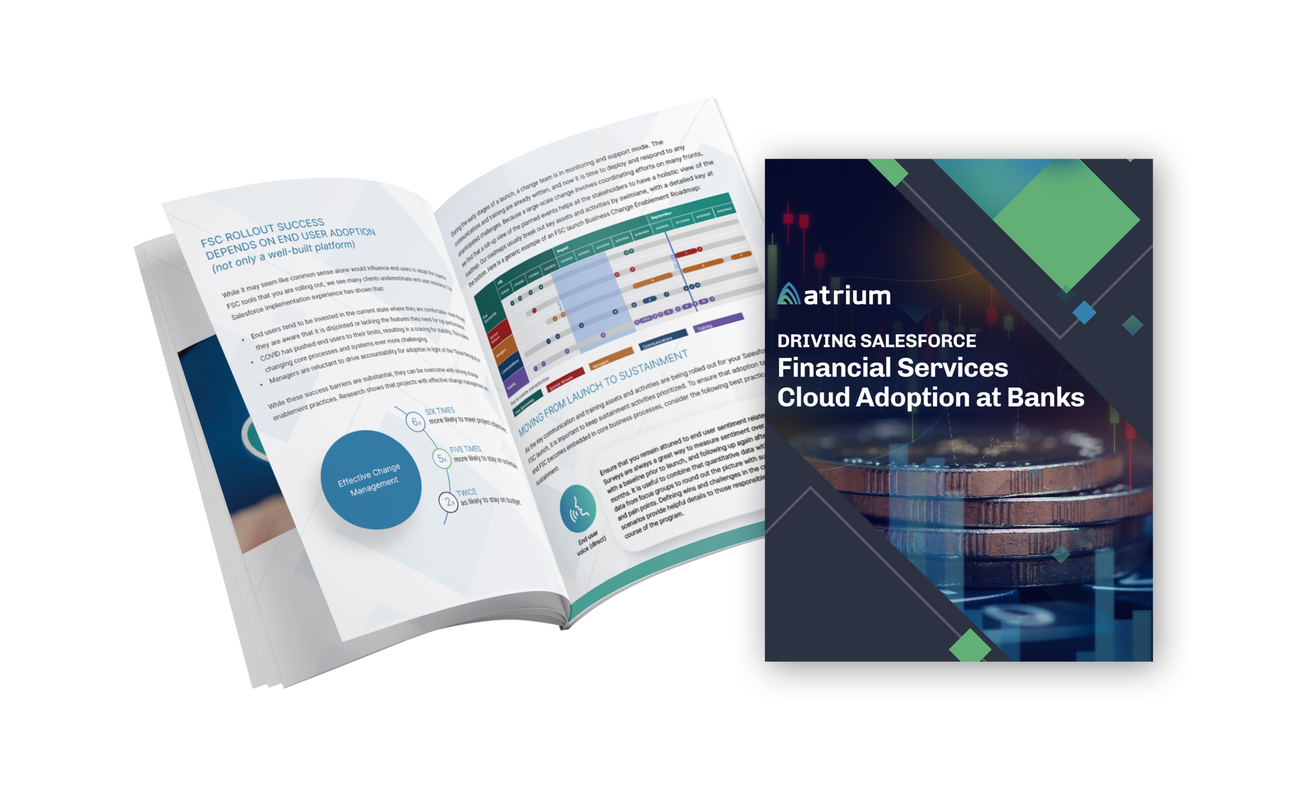 Mock-up-FSC-whitepaper-small-version