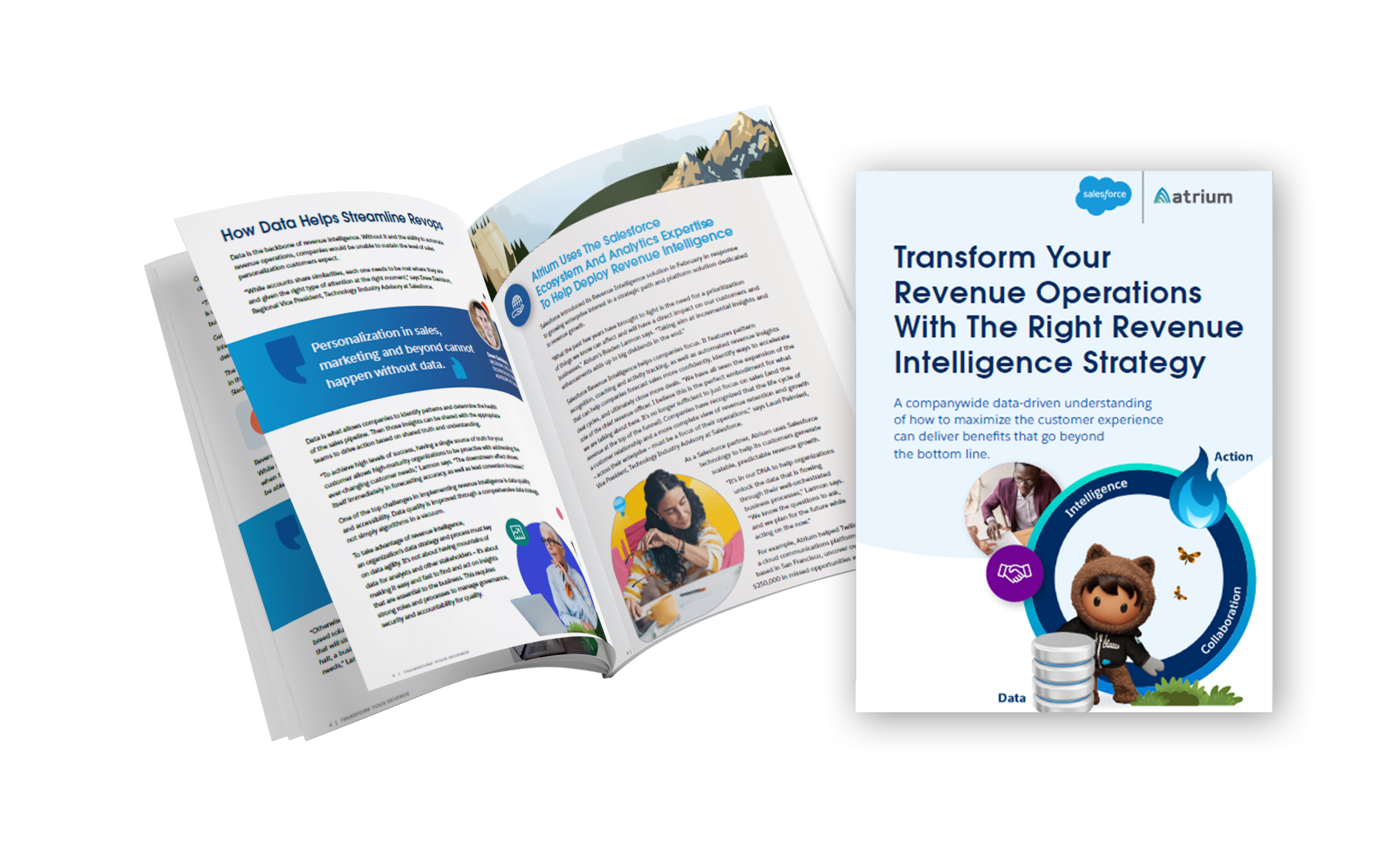 Revenue Intelligence Whitepaper