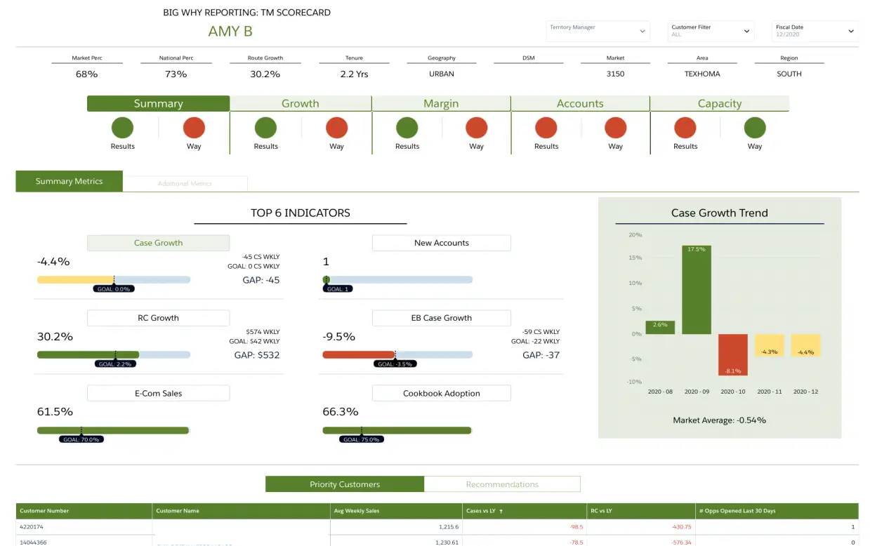 crm analytics dashboard Customer Example