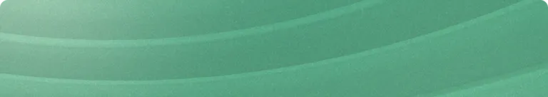 Snowflake-Background-768×136